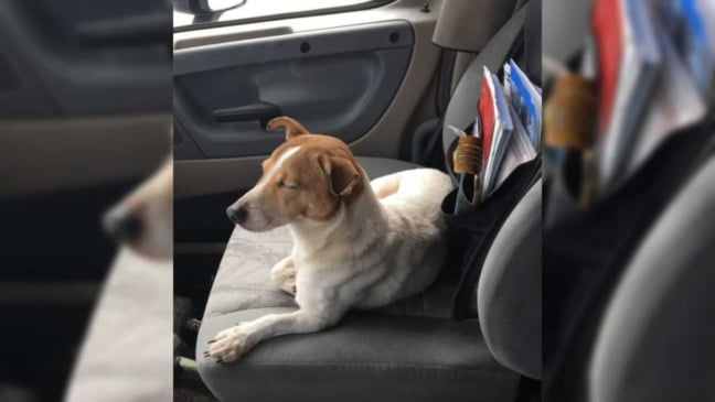 Foto: Reprodução Facebook.