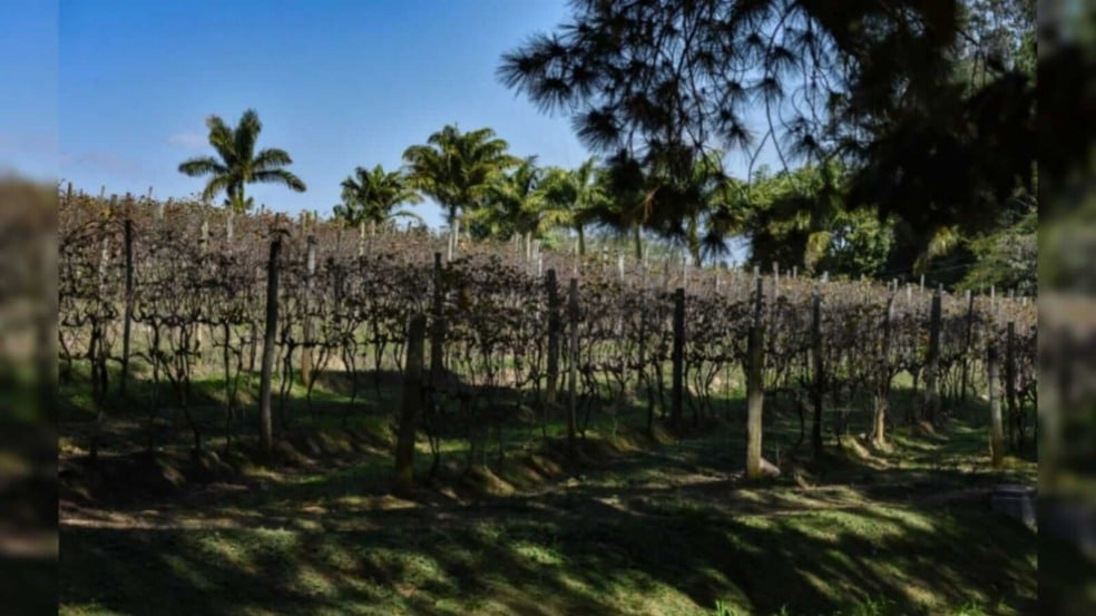 Foto: Prefeitura de Jundiaí