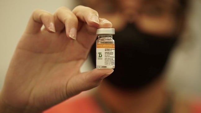 Foto: Instituto Butantan