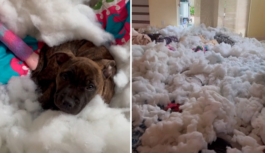 (Foto: reprodução TikTok/@katierobinson095) (Foto: reprodução TikTok/@katierobinson095)