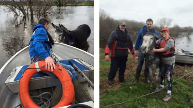 Foto: Divulgação/ portalamigocao