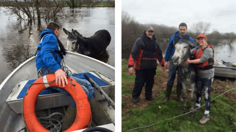 Foto: Divulgação/ portalamigocao