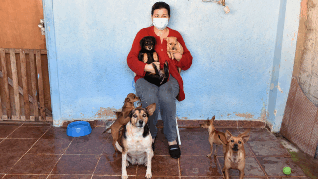 Em Jundiaí, campanha arrecada ração para cães e gatos em vulnerabilidade