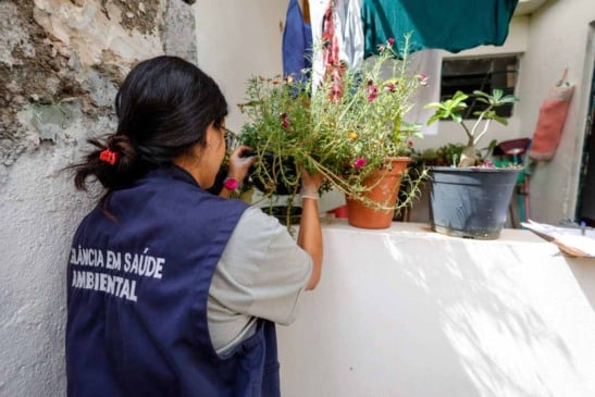 Prevenção dengue em Jundiaí