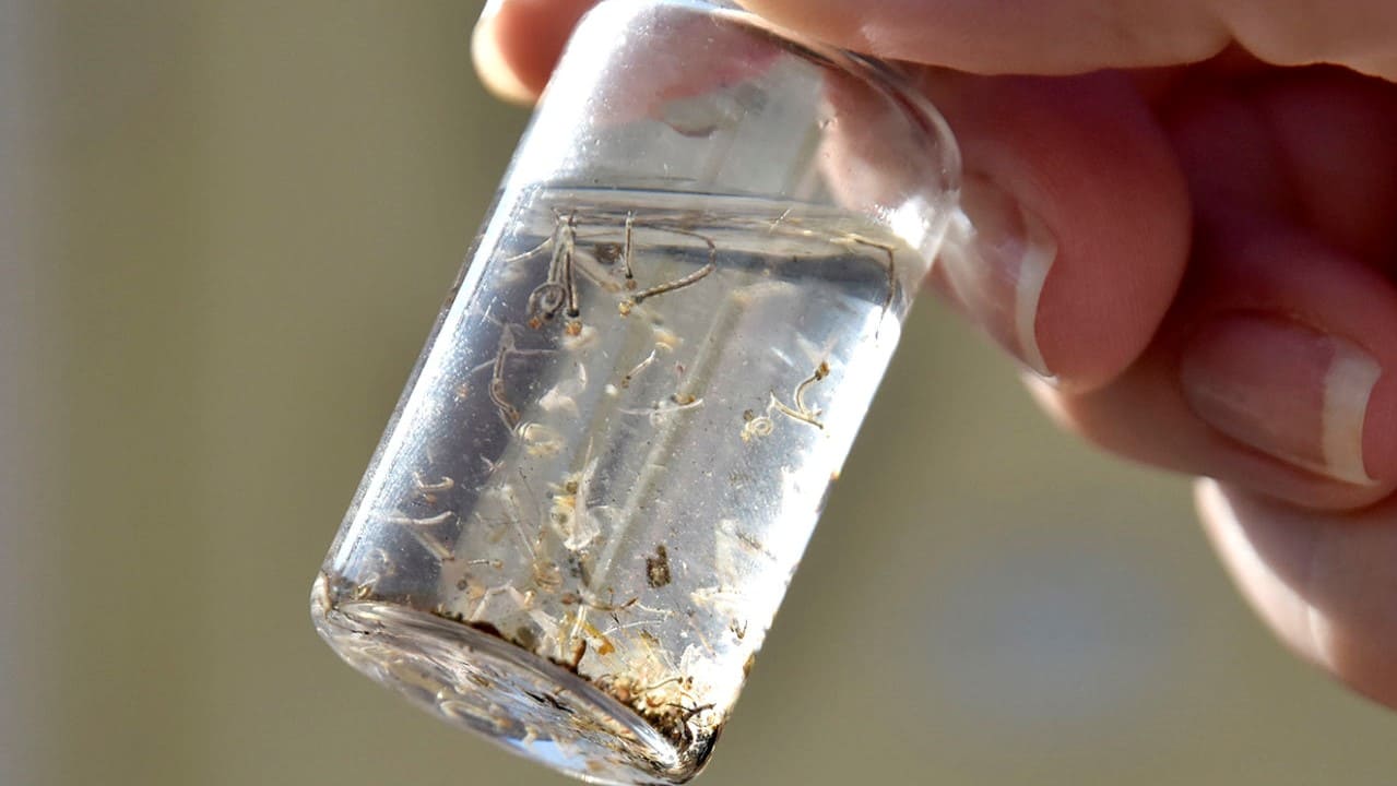 Foto: Prefeitura de Jundiaí