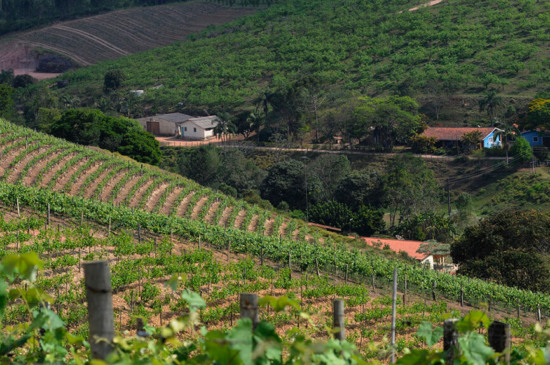 Produtor rural. (Foto: Divulgação)