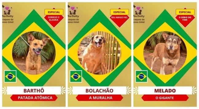Campanha de adoção se inspirou no tema da Copa do Mundo de 2022