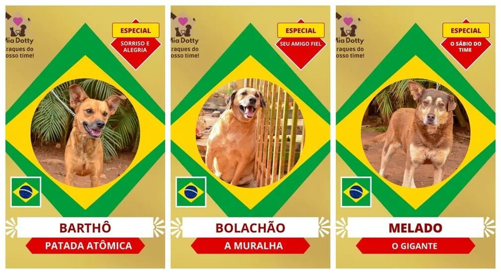 Campanha de adoção se inspirou no tema da Copa do Mundo de 2022