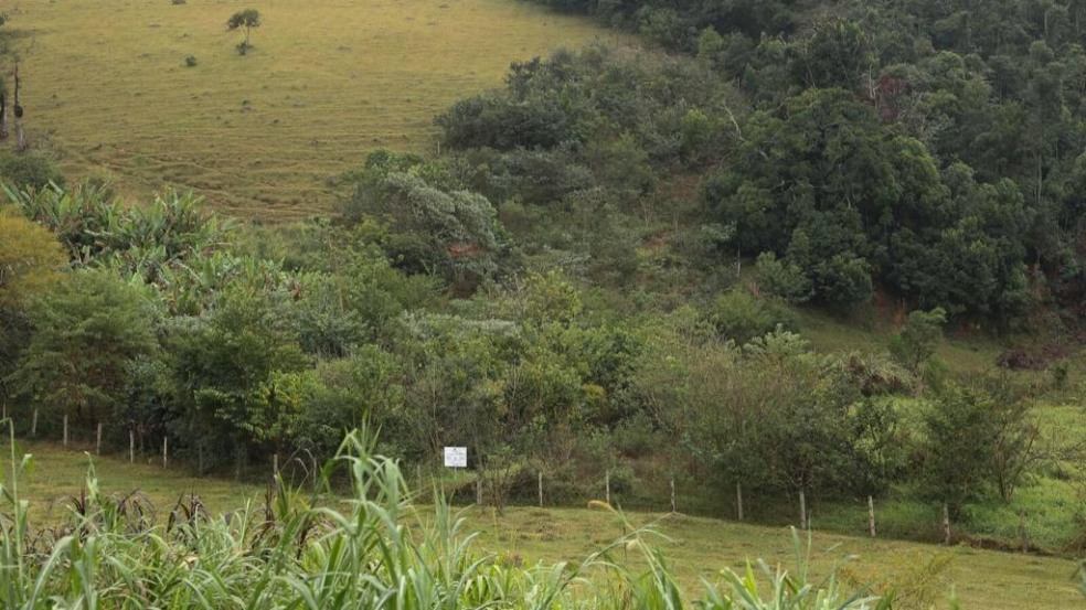 Jundiaí consegue recurso visando o levantamento de novas áreas para restauração ecológica