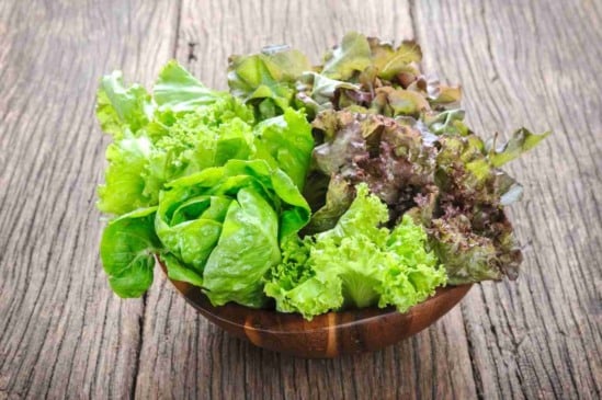 Saiba como cultivar alface em água e faça sua horta hidropônica