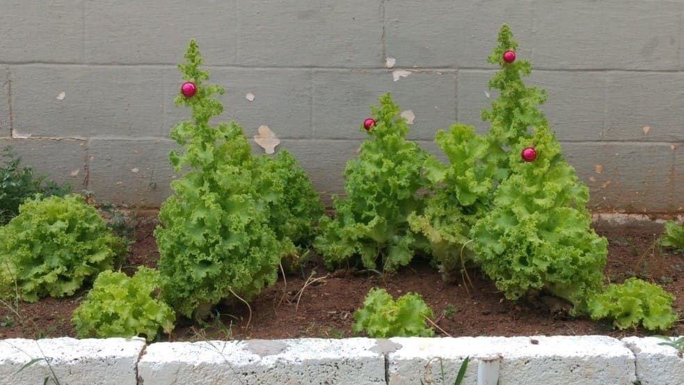 Foto: Arquivo pessoal