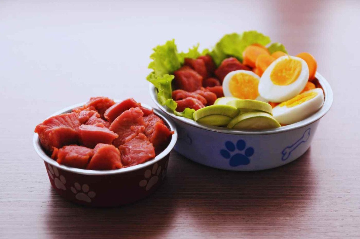 Tigelas com carne, ovos e vegetais frescos, representando uma alimentação natural para pets saudável e equilibrada.