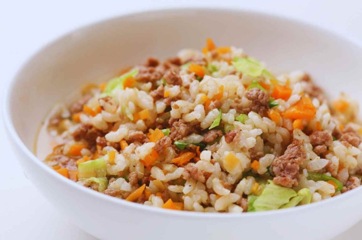 Prato de alimentação natural para pets com arroz, carne moída e vegetais, mostrando uma refeição saudável e balanceada para animais.