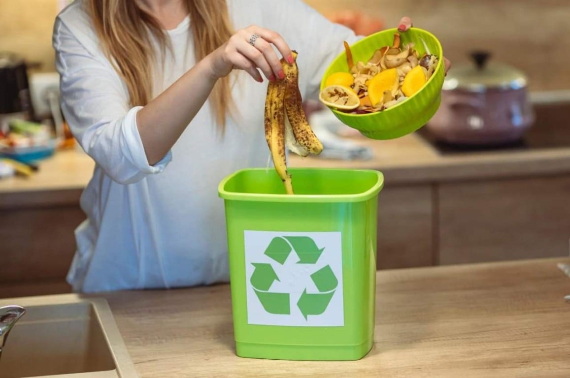 7 adubos caseiros para fazer com ingredientes da sua cozinha