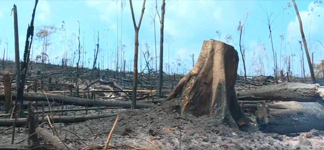 Queimadas na Amazônia