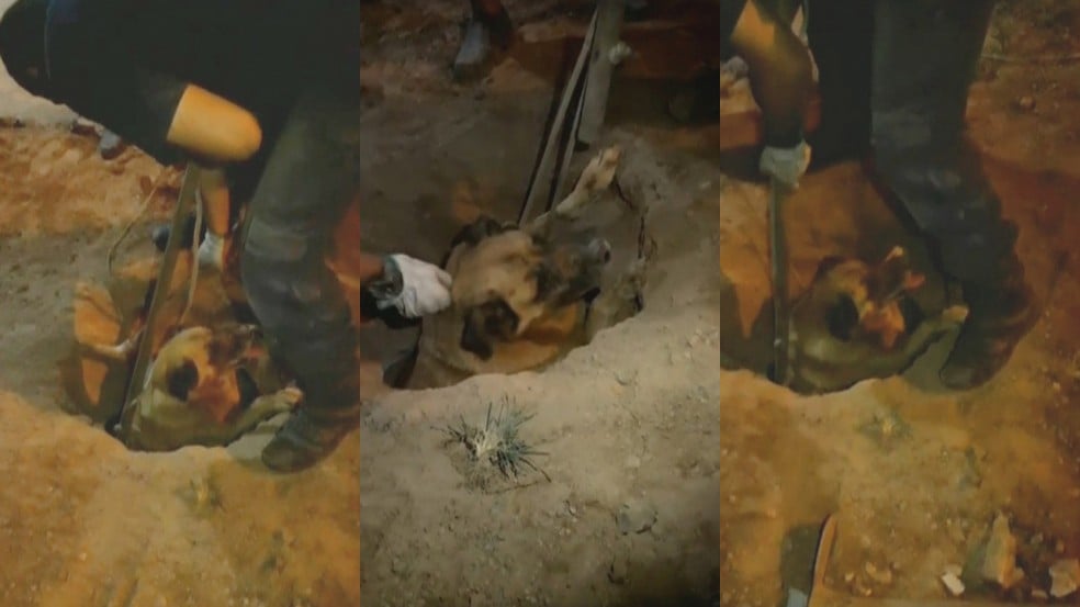 Resgate de cachorro preso em tubulação em Várzea Paulista