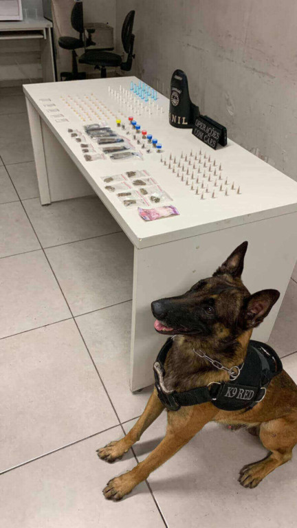 Cão policial K9 ao lado de uma mesa com apreensões de drogas e dinheiro durante operação de combate ao tráfico em área urbana de Jundiaí.