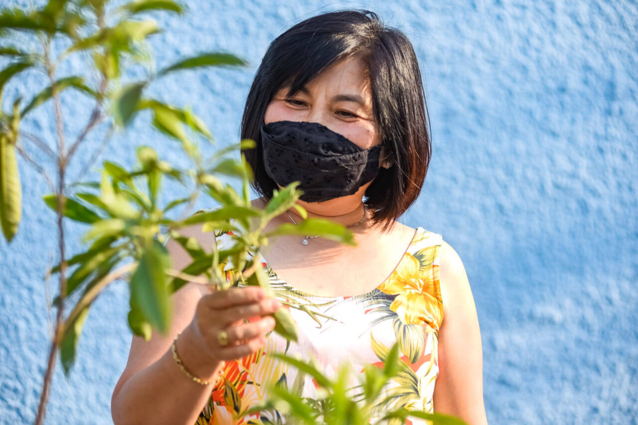Arborização no vianelo e vila arens