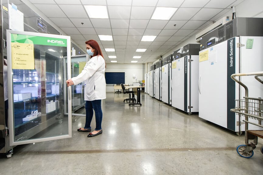 Câmara fria de Jundiaí. (Foto: Divulgação)