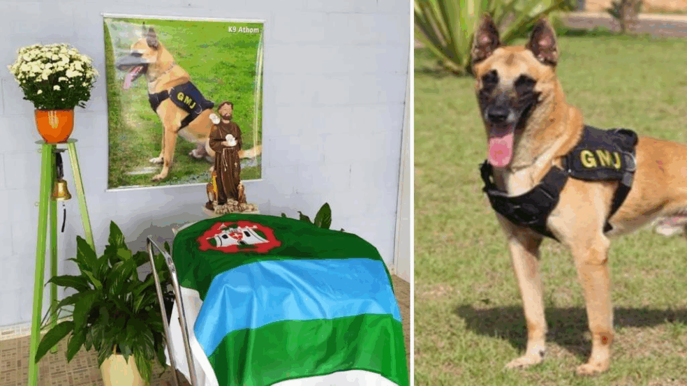 Cão policial, Athon, é velado em Jundiaí