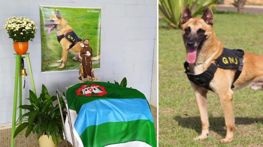 Cão policial, Athon, é velado em Jundiaí