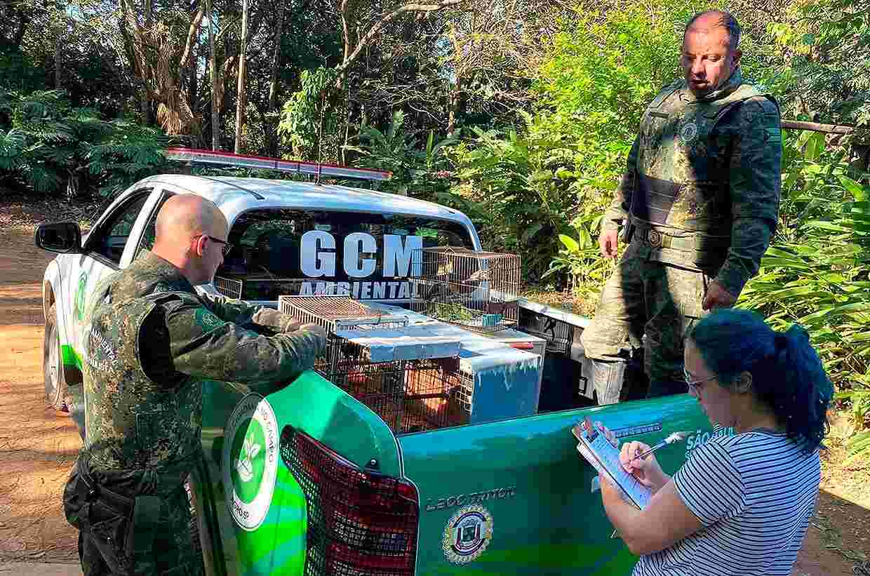 aves resgatadas em Várzea Paulista