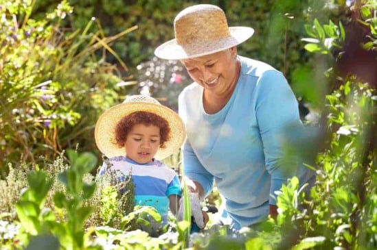 Cultivar plantas melhora a saúde física e mental