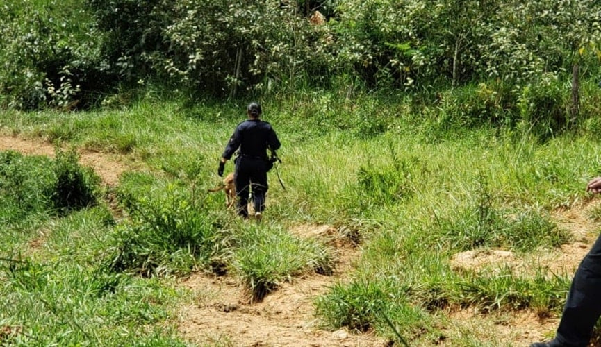 Foto de guarda com cão em área de mata