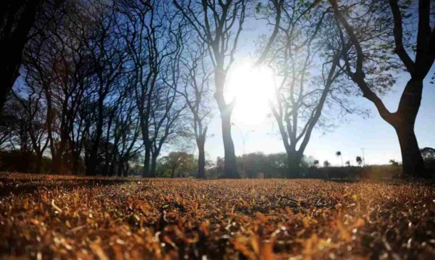 Árvores secas e gramado ressecado em Jundiaí, ilustrando baixa umidade do ar com sol brilhando intensamente no céu.