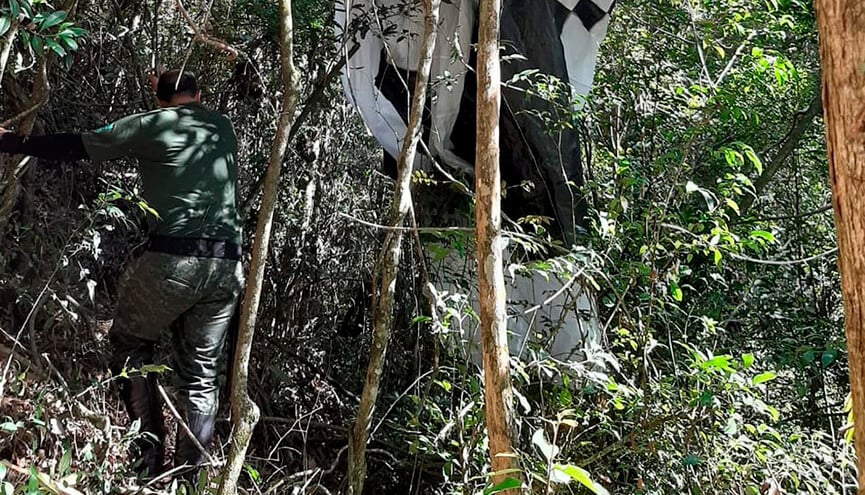 GM Ambiental retira balão que caiu na Serra do Japi. (Foto: Divulgação/Guarda Municipal)