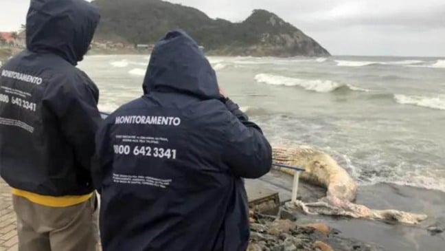 (Foto: PMP-BS | Univalli | Divulgação)