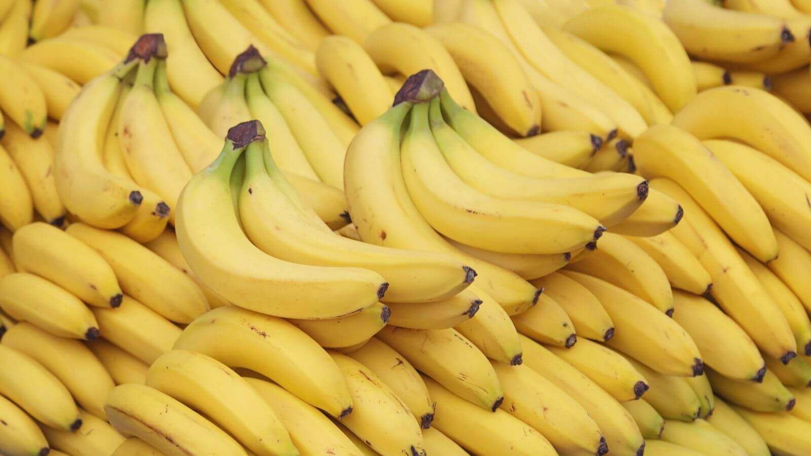 Bananas