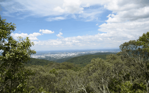 Vista panorâmica da Serra do Japi
