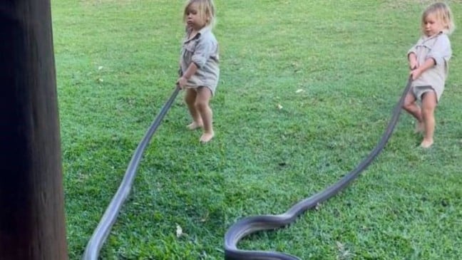 Foto: Reprodução Twitter/@Mattwright