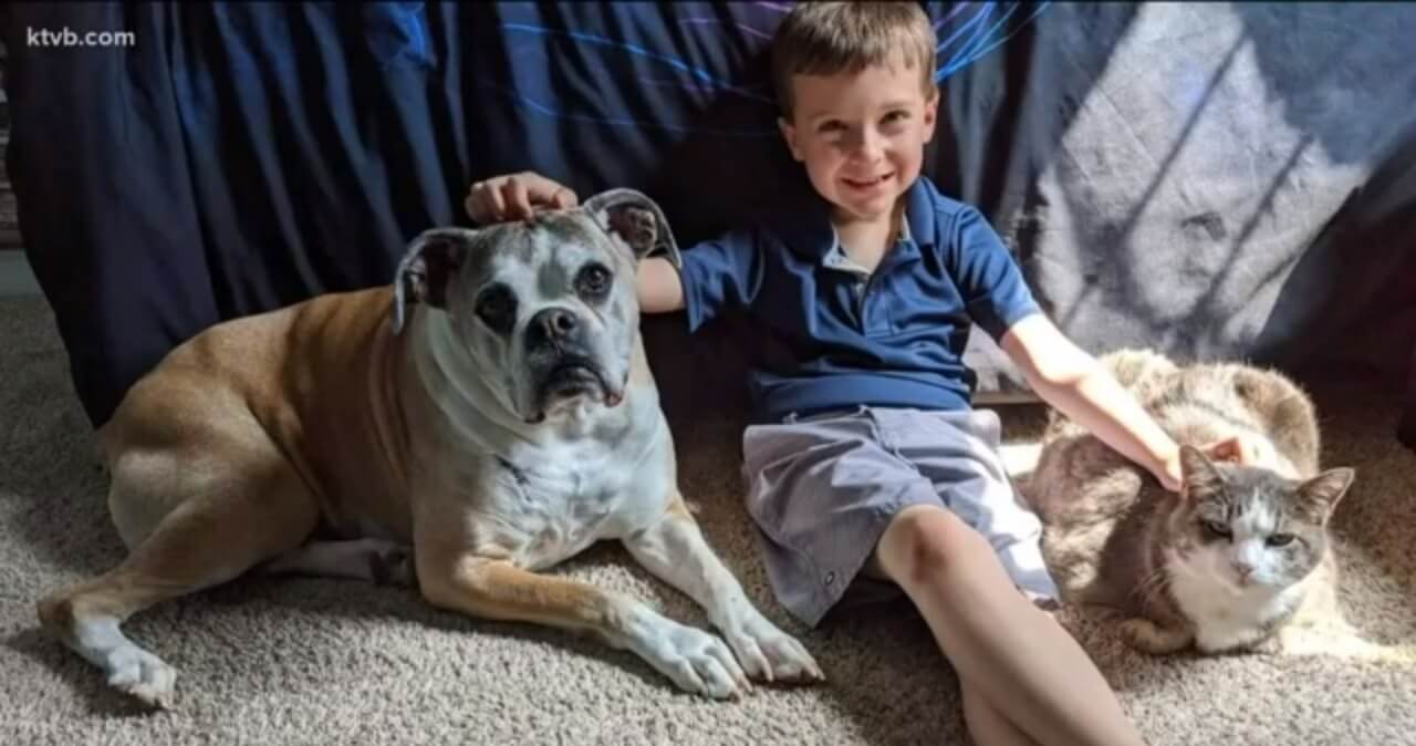 Menino com cachorro e gato