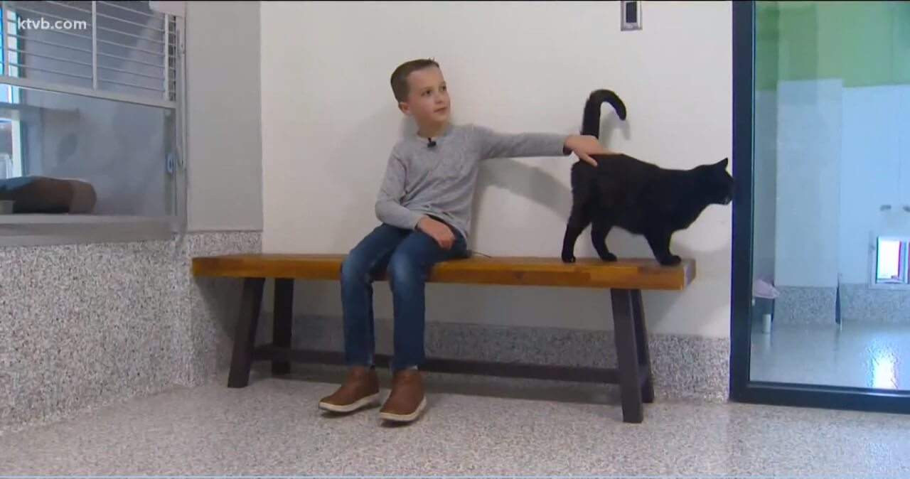 Menino brincando com gato