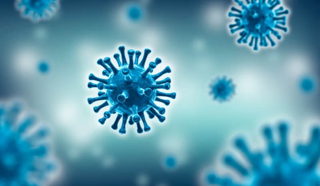 Desenho gráfico do vírus