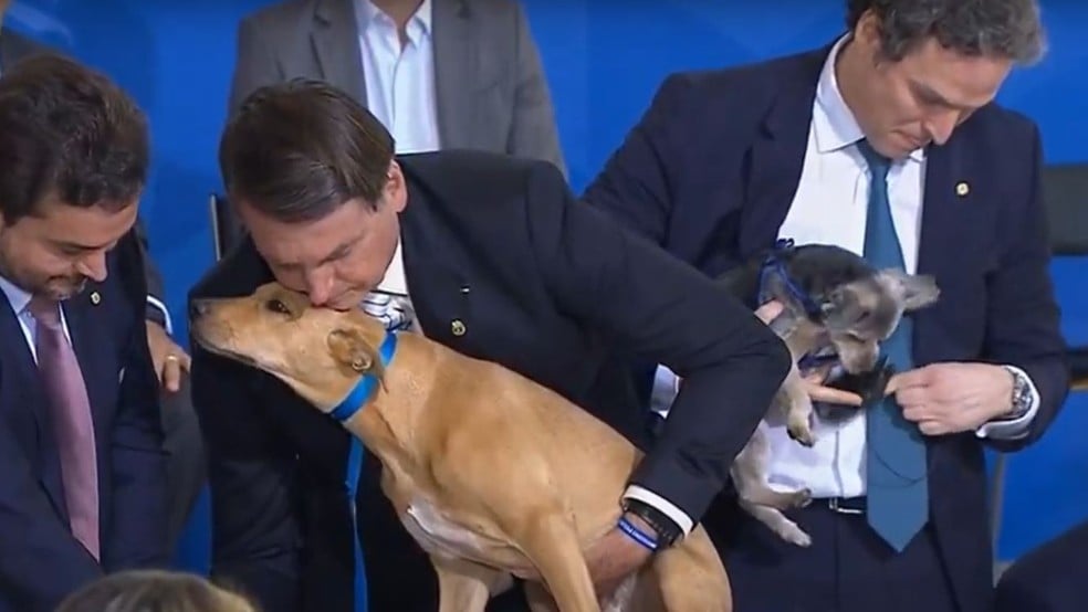 Bolsonaro e ministros com animais de estimação no Palácio do Planalto