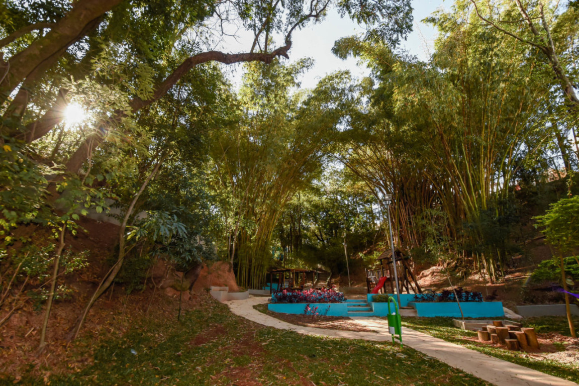 bosquinho do bonfiglioli