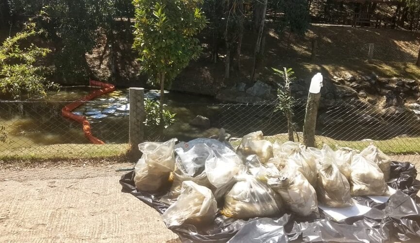 Parque Botânico Tulipas é interditado após carga de óleo contaminar água