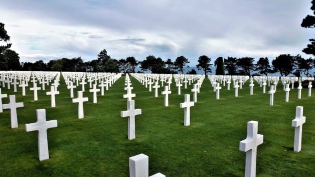 Cemitério com várias cruzes presas no chão.