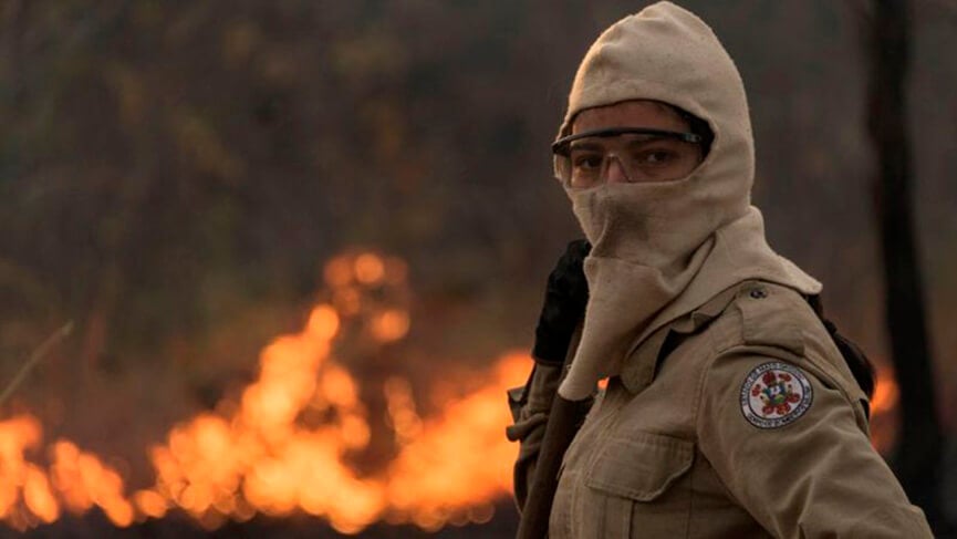 Brigadistas trabalhando no Pantanal. (Foto: EPA)