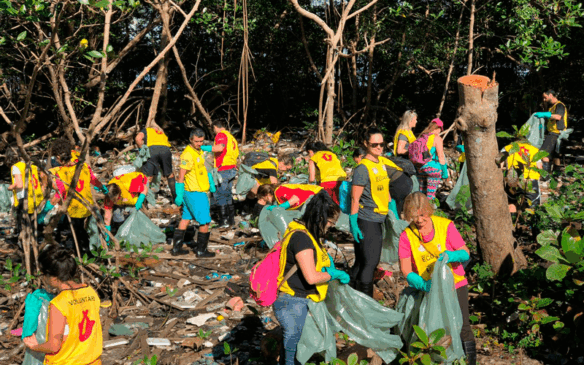 Ao todo, 600 voluntários devem participar dos mutirões. (Foto: Coca-Cola FEMSA/Divulgação)