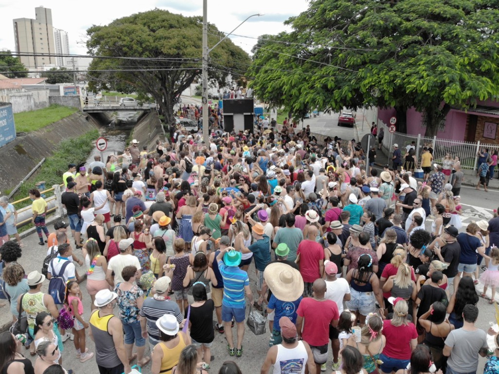 pessoas descendo uma rua em dias de carnaval