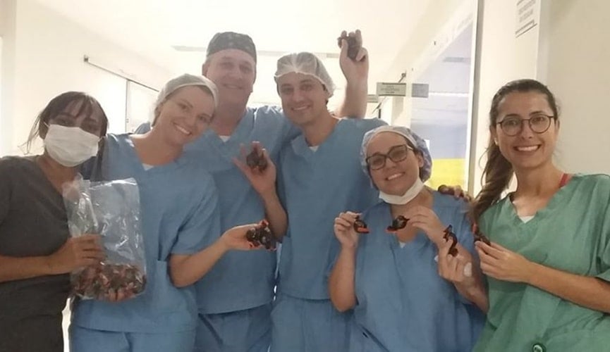 Foto de médicos com trufas