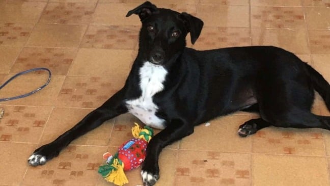 Foto: Arquivo Pessoal