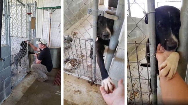 Foto: Desiray Miracle-Wilder