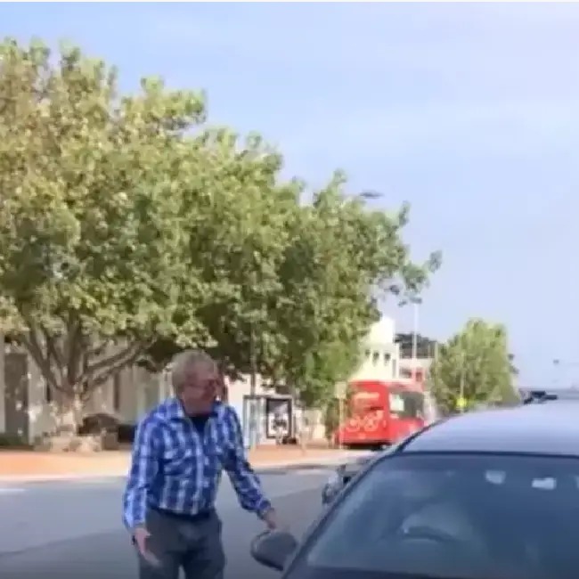 Cachorro cansado de esperar pelo tutor