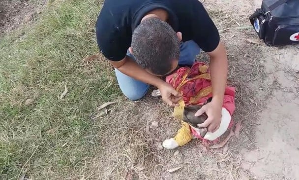 Cachorro com fita adesiva no focinho sendo salvo por homem