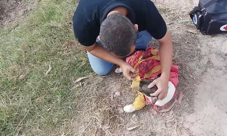 Cachorro com fita adesiva no focinho sendo salvo por homem